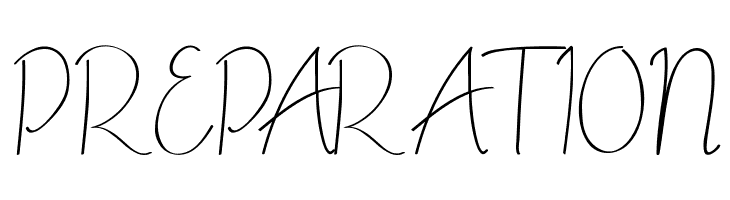 ALDITH DEMO Script  Free Fonts Download