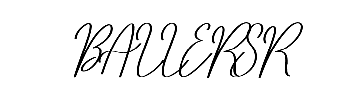 Bolliver Demo  Free Fonts Download