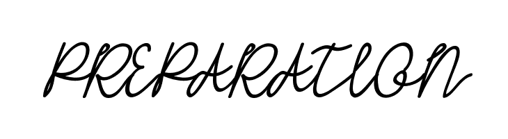 HASTON DEMO Script  Free Fonts Download