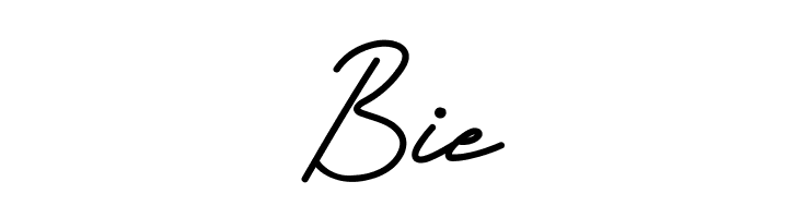 Storywise Demo  Free Fonts Download
