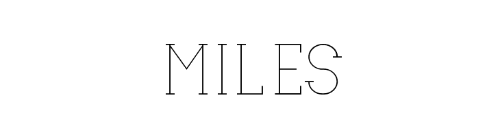 Ariesta Moon Demo Serif  Free Fonts Download