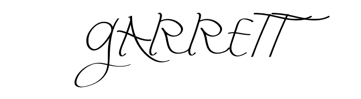 Fly Featherdemo Script  Free Fonts Download