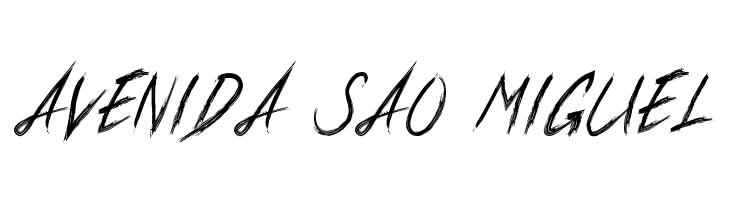 Xander Bruce Demo  Free Fonts Download