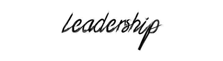 Xander Bruce Demo  Free Fonts Download