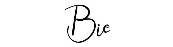 Canvashead Demo  Free Fonts Download