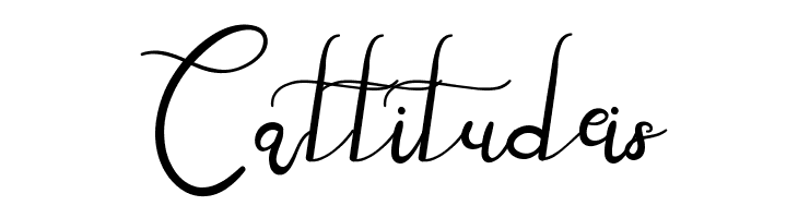 Canvashead Demo  Free Fonts Download