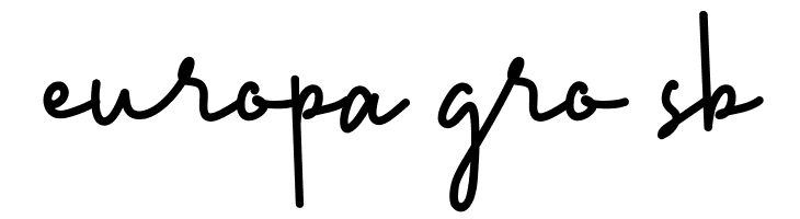 Birthday Girl Demo Script  Free Fonts Download