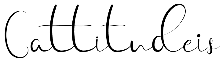 Hunting Star  Free Fonts Download