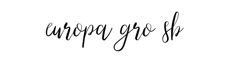 Right Attitude Demo  Free Fonts Download