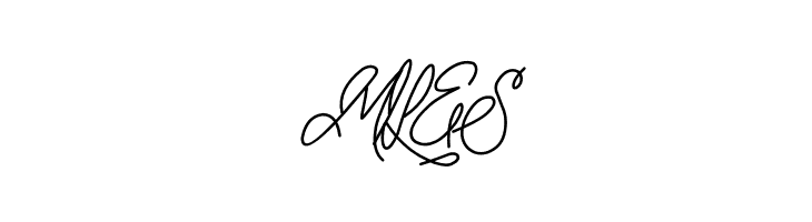 ORYZA SATIVA DEMO  Free Fonts Download