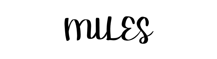 Chasy  Free Fonts Download