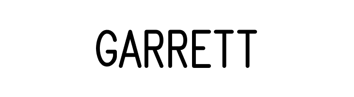 Brandy mono san typeface  Free Fonts Download