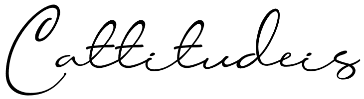 Konya  Free Fonts Download