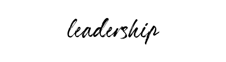 Hillstone Demo FPU  Free Fonts Download