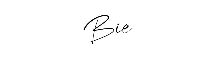 burdette  Free Fonts Download