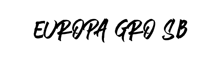 Brushlie Solid Demo  Free Fonts Download