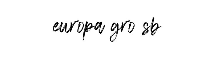 Chelistine Script  Free Fonts Download