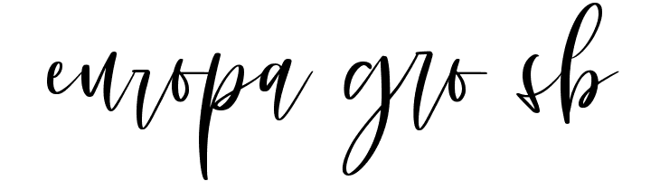 dancing moon script  Free Fonts Download