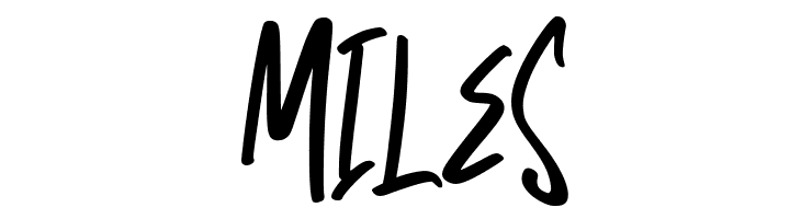 Diversity  Free Fonts Download