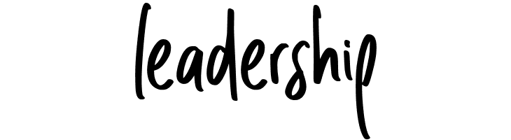 Diversity  Free Fonts Download