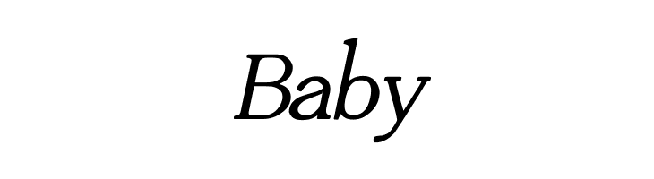 Adega Serif Bold Italic  Free Fonts Download