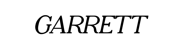 Adega Serif Bold Italic  Free Fonts Download