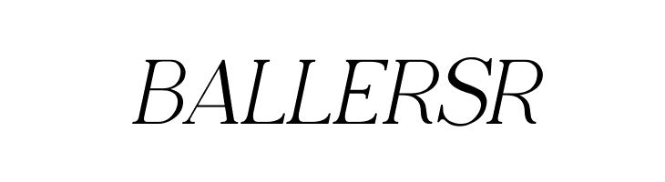 Adega Serif Italic  Free Fonts Download