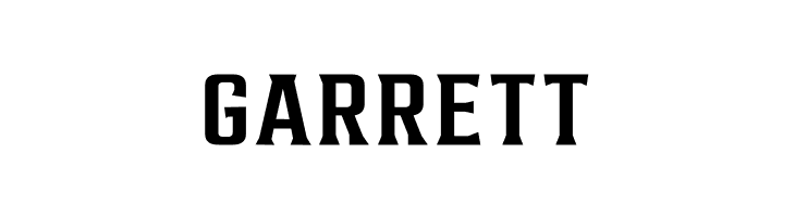 AlterousText  Free Fonts Download