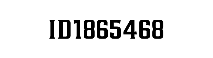 AlterousText  Free Fonts Download