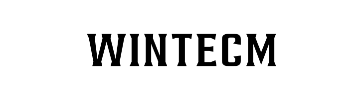 AlterousText  Free Fonts Download