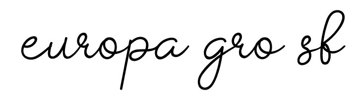 Dear Daisy  Free Fonts Download