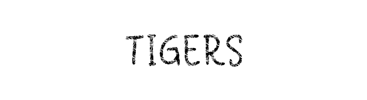 Summer Beach Regular  Free Fonts Download