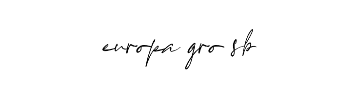 HudzaifahSignatureRegular  Free Fonts Download