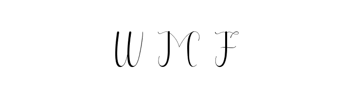 Selitta Script  Free Fonts Download