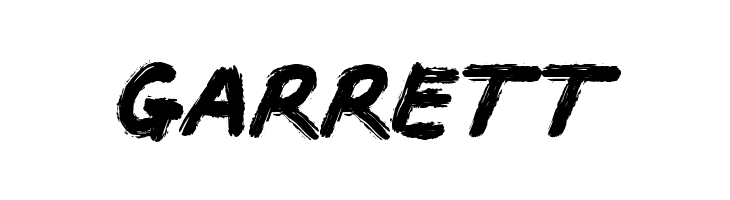 BACOTER  Free Fonts Download