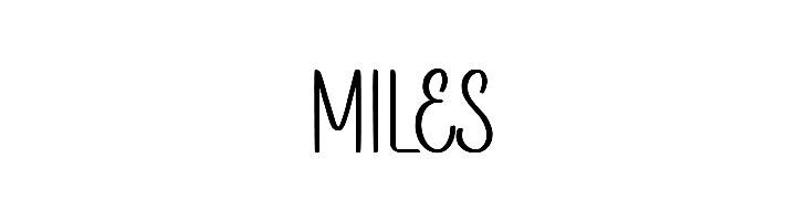 Sunny Bunny Demo  Free Fonts Download