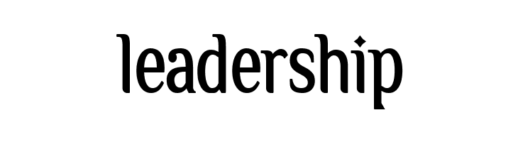 Owbeirak Serif Demo Version  Free Fonts Download