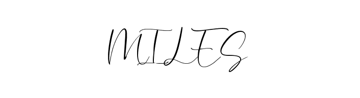 Bionetha  Free Fonts Download