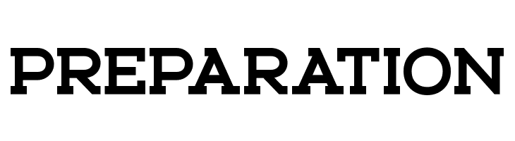 Schein Slab  Free Fonts Download