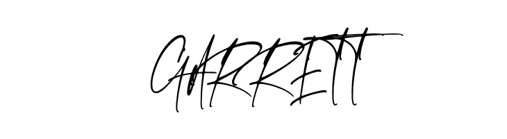 Emeralde Chamerions Script  Free Fonts Download