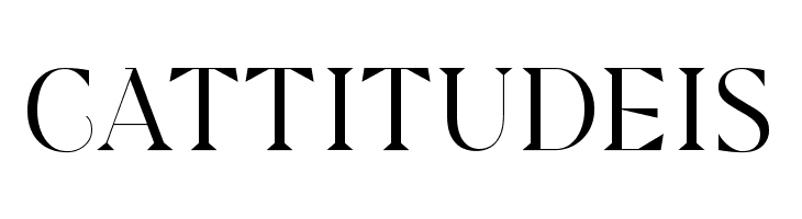 Modesfa  Free Fonts Download