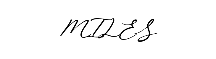 Beautiella  Free Fonts Download