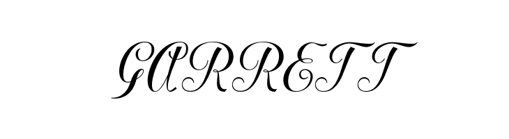 MacrofhyllyaScript  Free Fonts Download