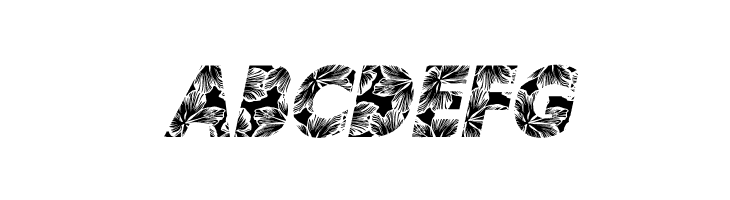 HIBISCUS ITALIC PERSONAL USE Bold Italic  Free Fonts Download