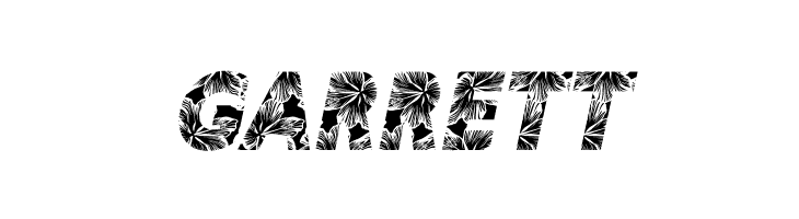 HIBISCUS ITALIC PERSONAL USE Bold Italic  Free Fonts Download