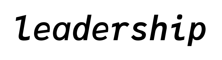 JuliaMono BoldItalic  Free Fonts Download