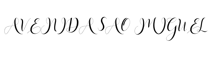 HaleighScript  Free Fonts Download