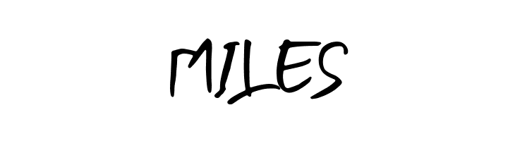 BLENDER BRUSH  Free Fonts Download