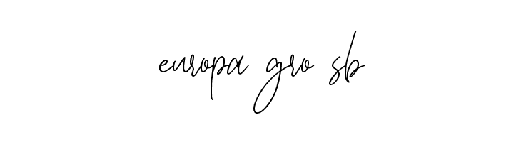 Thunder Shutter  Free Fonts Download