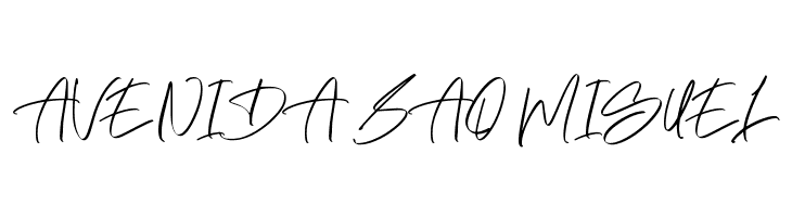 Maitland Script  Free Fonts Download